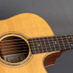 James Goodall Grand Concert Cutaway Mastergrade (2016) Detailphoto 8